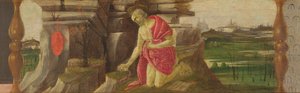 Saint Jérôme en pénitence, panneau de prédelle du retable de Saint Marc, c.1488-90 - Sandro Botticelli